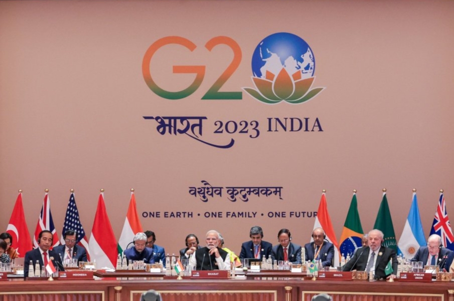 The G20 Delhi Declaration recognizes the role of traditional medicine in global health 